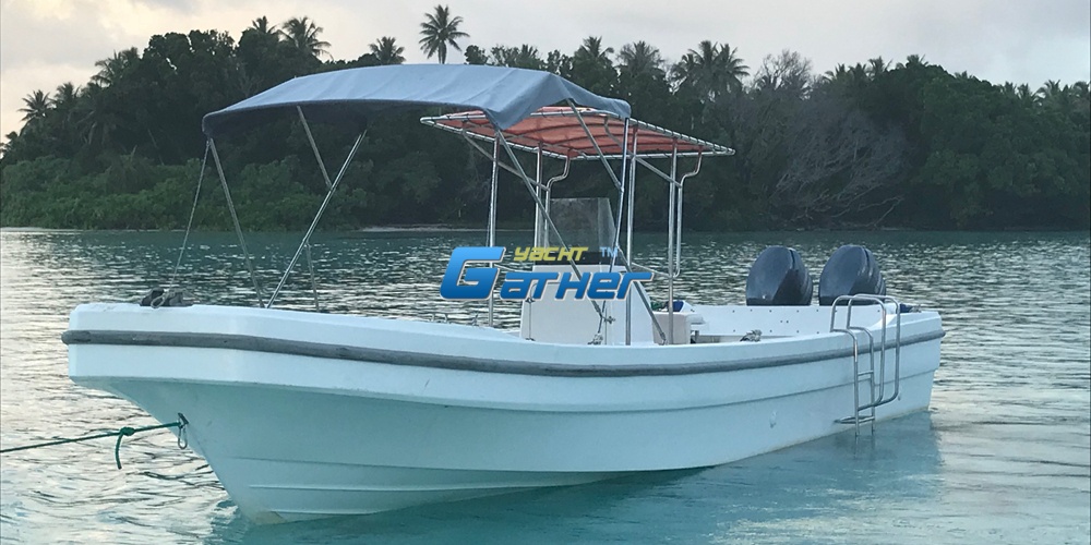 Passeios aquáticos em barco Panga de fibra de vidro de 32 pés