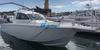 Passeios marítimos em barco de pesca de fibra de vidro 40FT
