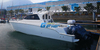 Passeios marítimos em barco de pesca de fibra de vidro 40FT